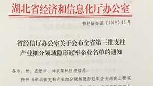 星空在线平台-星空(中国)
被认定为“湖北省支柱产业细分领域隐形冠军示范企业”